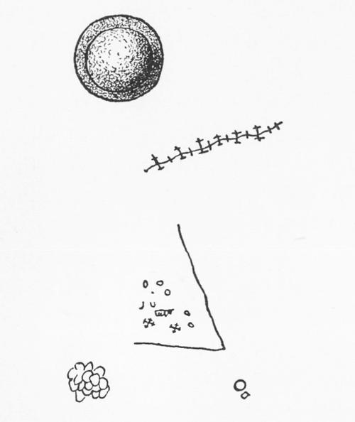 Image birka3_abb43